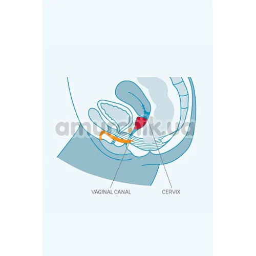Менструальна чаша Fun Factory Fun Cup Menstrual Cup B, фіолетова