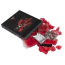 Набір Virgite Essentials Love Kit E10 - Фото №1