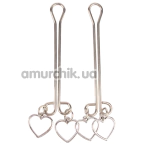 Затискачі для сосків Senuelo Fetish Fantasy Heart Nipple Clamps, срібні - Фото №1