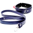 Нашийник з повідцем DS Fetish Silver Collar With Leash, синій