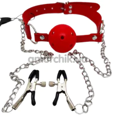 Кляп с зажимами для сосков DS Fetish Ball Gag With Nipple Clamps, красный - Фото №1