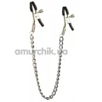 Затискачі для сосків з ланцюжком Lucky Bay Nipple Play Long Chain, сріблясті - Фото №1