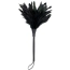 Пір'їнка для пестощів DS Fetish Feather Tickler Crop, черна