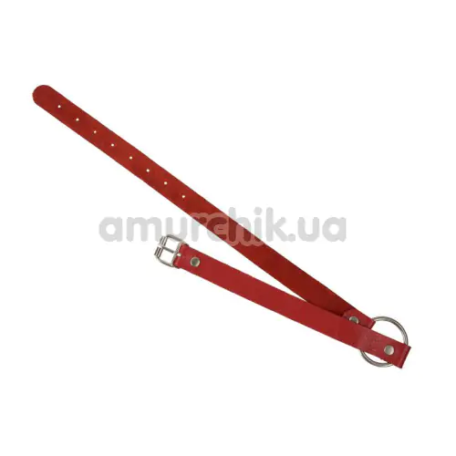 Кляп sLash Leather O-Ring Gag, червоний