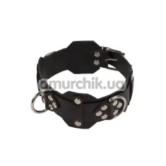 Ошейник sLash Vip Leather Collar, черный - Фото №1