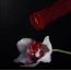 Свеча Upko Low Temperature Wax Candle Blazing Spike, бордовая - Фото №6