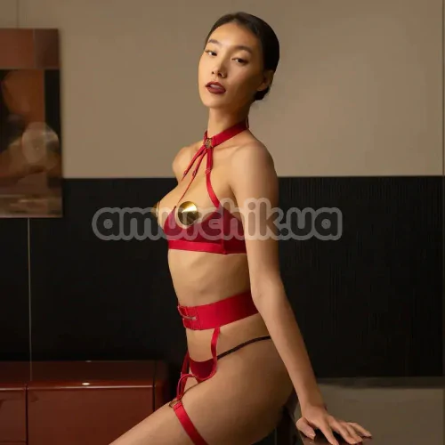 Комплект Upko Red-Strapped Lingerie Set, красный: бюстгальтер + трусики-стринги + пояс с гартерами + наклейки для сосков