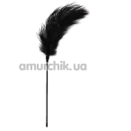 Пір'їнка для пестощів Easy Toys Feather Tickler XL, чорна - Фото №1