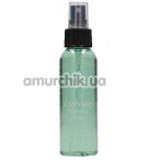 Масажна олія Cannbis Massage Oil, 100 мл - Фото №1