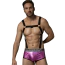 Комплект мужской JSY Sexy Lingerie 2321, черно-розовый: портупея + трусы - Фото №1