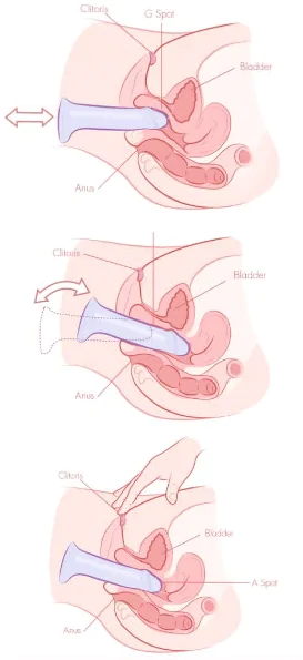 Badgirlsbible - how to use dildo?