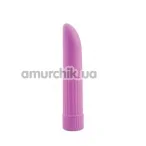 Вибратор Lady Finger Aqua Silk Vibe, фиолетовый - Фото №1