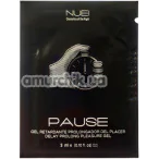 Гель-пролонгатор Pause Delay Prolong Pleasure Gel, 3 мл - Фото №1