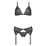 Комплект Passion Free Your Senses Deliena Set, черный: бюстгальтер + трусики + пояс для чулок - Фото №4