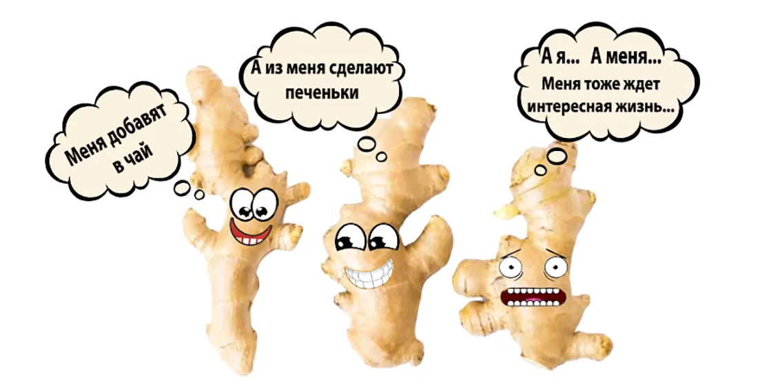 Приключения имбиря