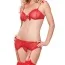 Комплект Leg Avenue Polka Dot (модель 31039) красно-белый: бюстгальтер + пояс для чулок + трусики-стринги - Фото №1