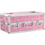 Кейс для хранения секс-игрушек The Toy Chest Lokable Vibrator Case Large, розовый - Фото №1