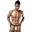 Чоловічі труси Passion 015 Thong, срібні - Фото №1