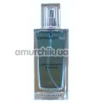 Туалетная вода с феромонами ExtravertiQue - реплика Chanel Egoiste Platinum, 100 мл для мужчин - Фото №1