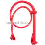 Батіг DS Fetish Whip Long з наконечником - серцем, червоний - Фото №1