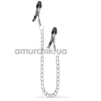 Затискачі для сосків DS Fetish Iron Nipple Clamps L, срібні - Фото №1