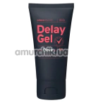 Гель-пролонгатор с охлаждающим эффектом Delay Gel With Clove Oil, 60 мл - Фото №1