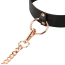 Ошейник с поводком Rosy Gold Nouveau Collar With Leash, черный - Фото №4