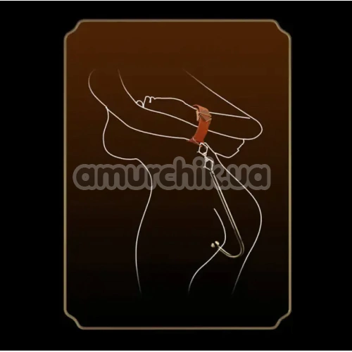 Анальний гак Lockink Golden Adjustable Anal Hook Set, золотий