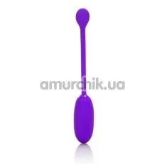 Виброяйцо Rechargeable Kegel Ball, фиолетовое - Фото №1