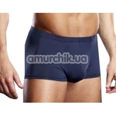 Труси-боксери чоловічі Blue Line Microfiber Pinstripe Trunk сині (модель BLM003) - Фото №1