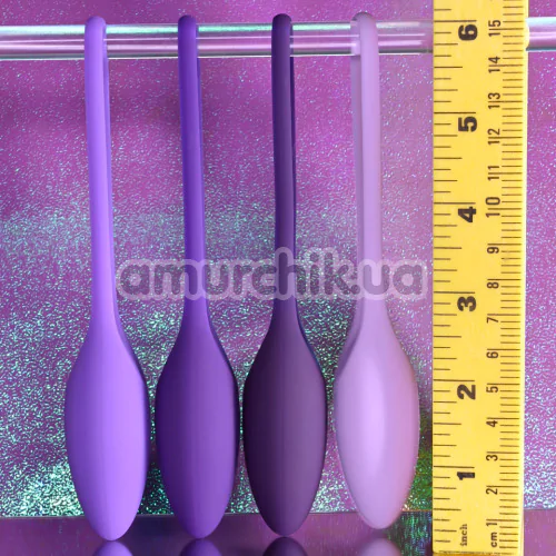 Набір вагінальних кульок Evolved Playboy Pleasure Put In Work, фіолетовий