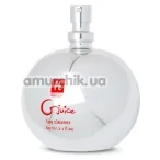 Антибактеріальний спрей для очищення секс-іграшок Gvibe Gjuice Toy Cleaner, 60 мл - Фото №1