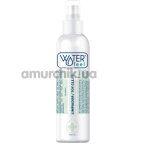 Антибактериальный спрей для очистки секс-игрушек Waterfeel Toy Clear, 150 мл - Фото №1