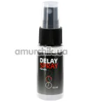 Спрей-пролонгатор Delay Spray For Men, 15 мл - Фото №1