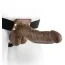 Порожній страпон Fetish Fantasy Series 7 Hollow Strap-On with Balls, коричневий - Фото №1