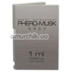 Туалетная вода с феромонами Phero-Musk Grey, 1 мл для мужчин - Фото №1