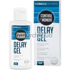 Гель-пролонгатор Intimate Control The Moment Delay Gel, 85 мл - Фото №1