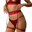 Комплект Upko Red-Strapped Lingerie Set, красный: бюстгальтер + трусики-стринги + пояс с гартерами + наклейки для сосков - Фото №4