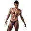 Мужские трусы Passion 006 Slip, фиолетовые - Фото №1