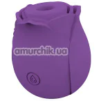 Симулятор орального сексу для жінок Rose Air Wave, фіолетовий - Фото №1