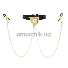Кляп із затискачами для сосків DS Fetish Pacifier Gag With Nipple Clamps, чорно-золотий - Фото №1