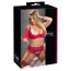 Комплект Cottelli Lingerie Set 221263334, красный: бюстгальтер + трусики с подвязками для чулок - Фото №11