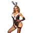 Костюм зайчика JSY Sexy Lingerie чорний: боді + панчохи + вушка + рукавички - Фото №1