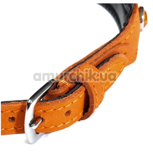 Ошейник DS Fetish Leather Collar Jewel, оранжевый