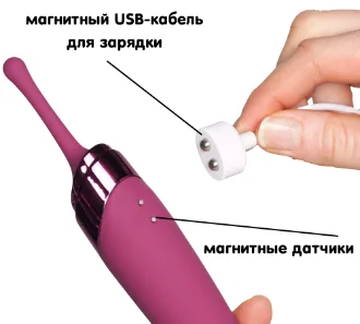 Зарядка Satisfyer Twirling Delight 