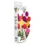 Вібратор Wild Tulips - Фото №2