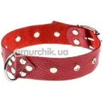 Нашийник Dominant Collar, червоний - Фото №1