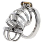 Пояс верности для мужчин Hidden Desire Extreme Penis Gear Chastity Cock Cage Metal, серебряный - Фото №1