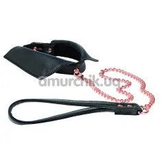 Ошейник с поводком Entice Chelsea Collar with Leash, черный - Фото №1