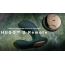 Вибростимулятор простаты для мужчин Lelo Hugo 2 Remote (Лело Хьюго 2 Ремоут), зеленый - Фото №16